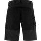 Abisko Shorts M
